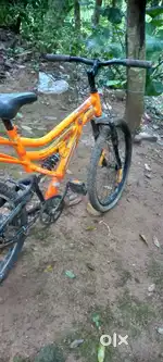 Dinamic 24 inch