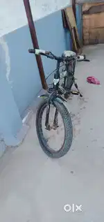 Best cycle