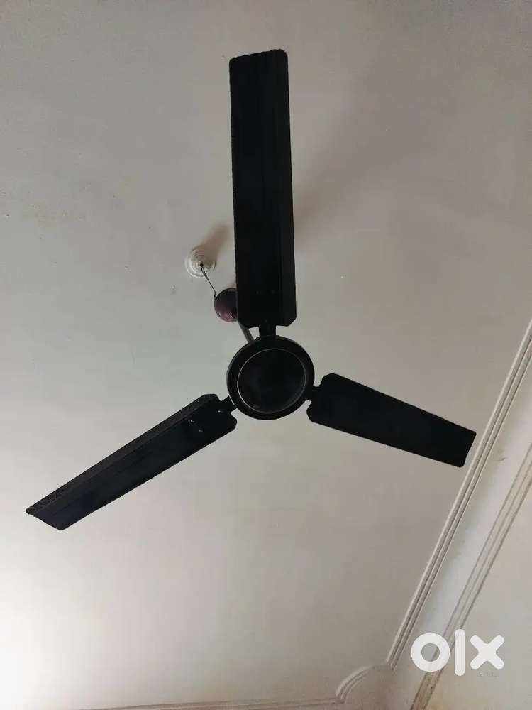 Celling fan
