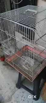 Cage for birds