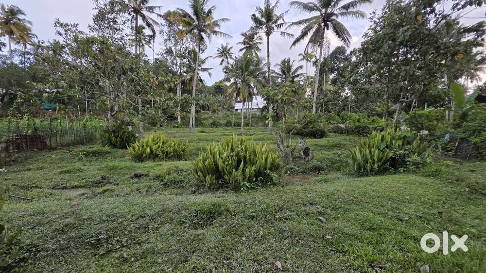 Near technopark face 4 -3 km away