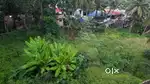 7,10,13,35 , Cents Prime plot  immediate sale