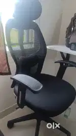 Office or Home Chair