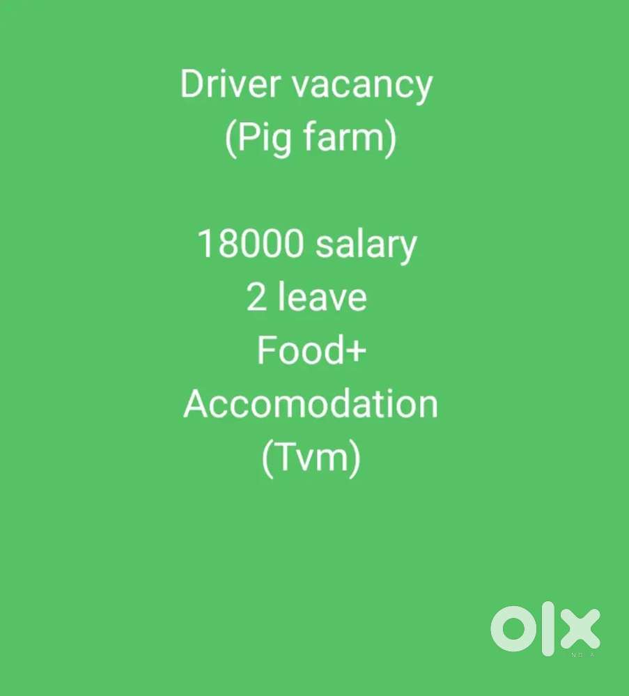 Driver vacancy