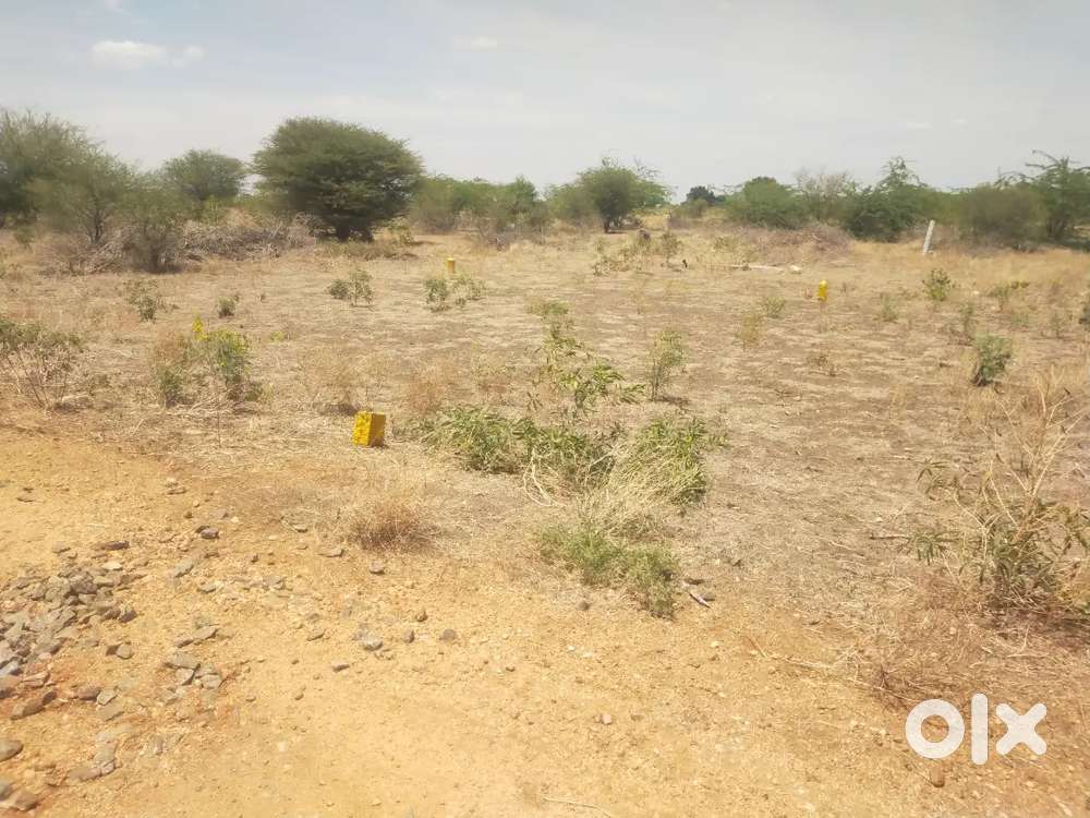 Argent sale my land financial problem no time passes