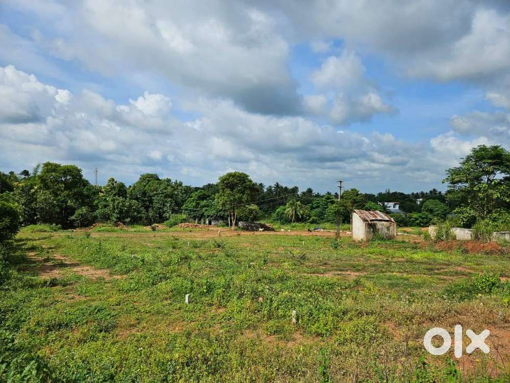 House plots in Elappully, Palakkad for sale