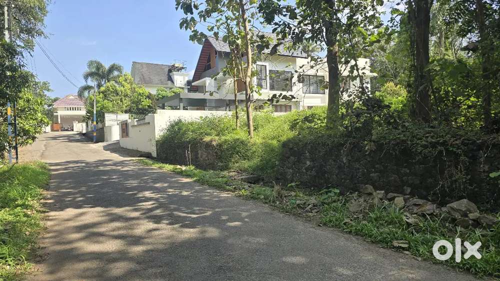 Angamaly mookkannoor kokkunnu 17 cent house plot for sale immediately