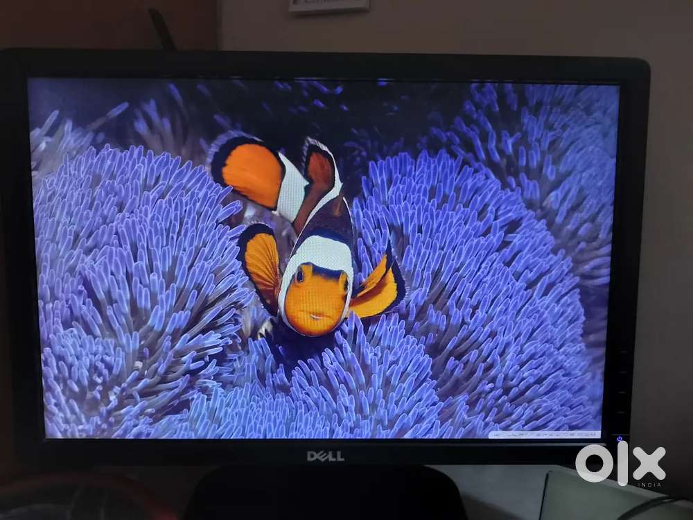 Dell Monitor 19 LED