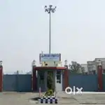 Official reqarment