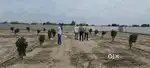 Plot selling near sarojni institute Ahimamau