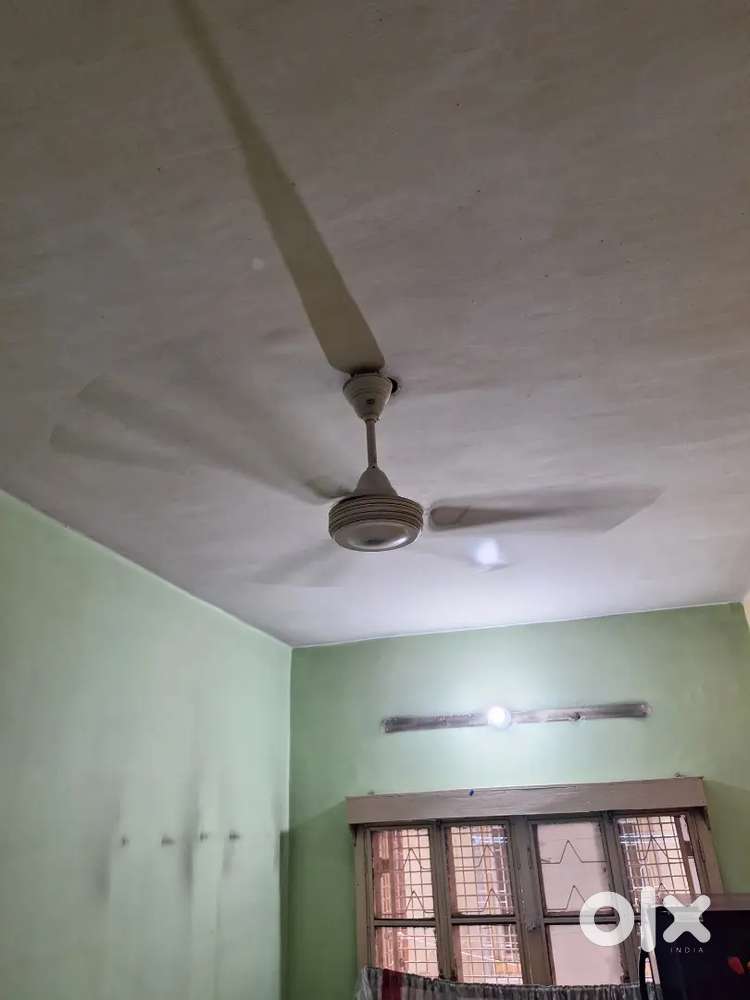 Fan Crompton make 1000 each