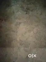650 sq feet