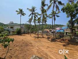 30 cent plot for sale