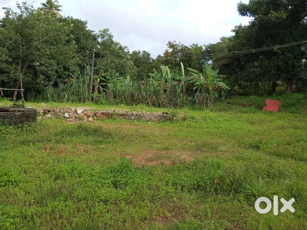 90 cent plot. 10 cent pond for sale. 1,50,000 per cent