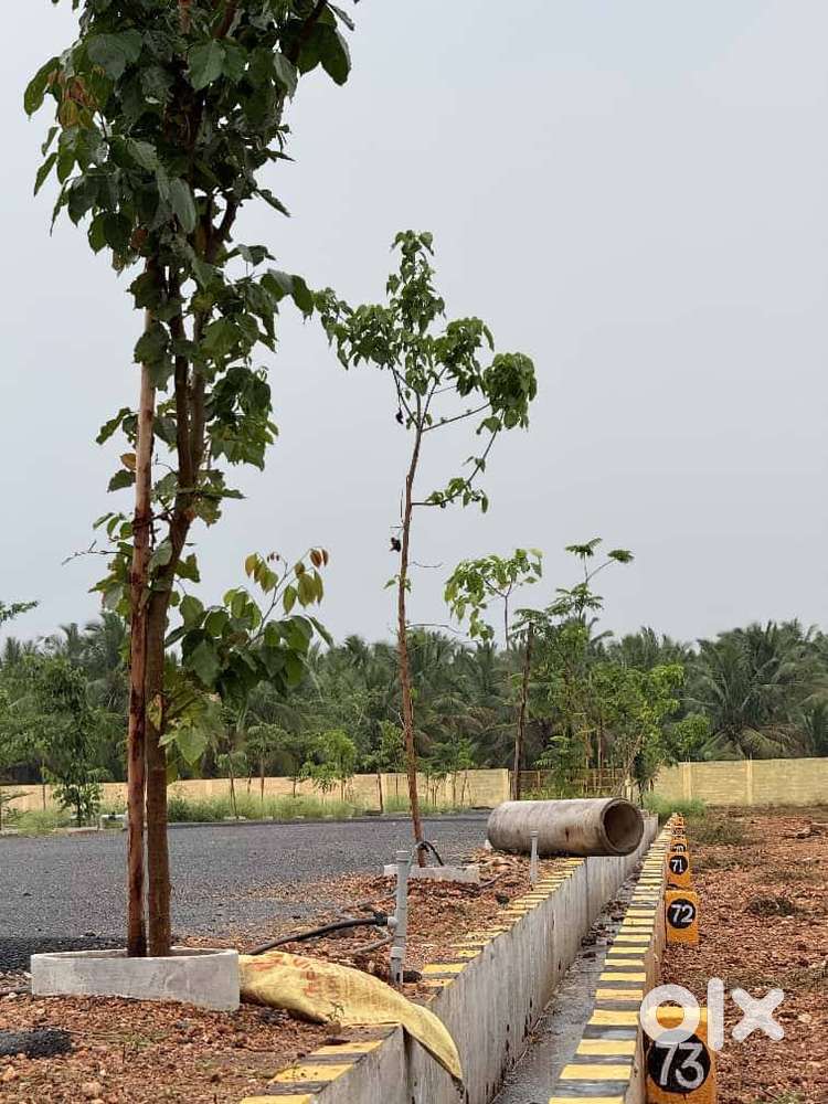 Residential Plots For Sale in Sathy road.