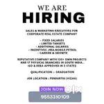 Sales person