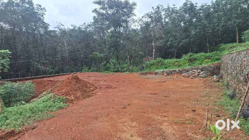 7 cent land for sale mutholy phc
