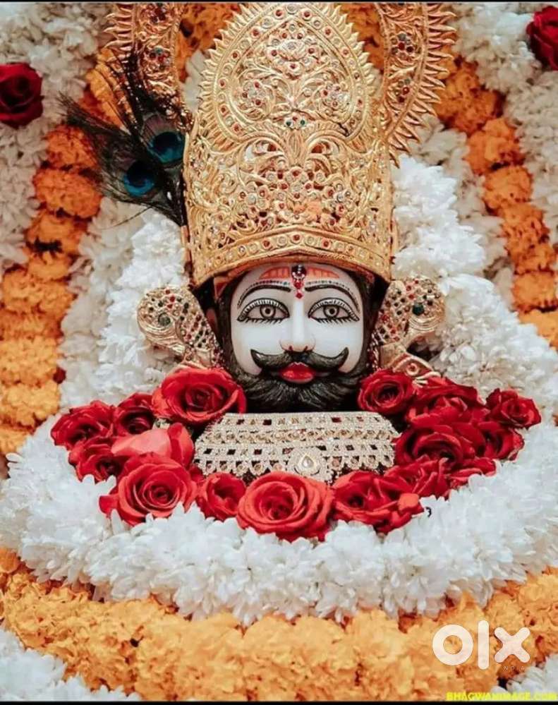 Ola uber me 50 50 par gadi chalani hai