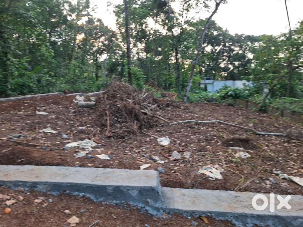 21 cent House plot for sale near UC college, Aluva 500 mtr