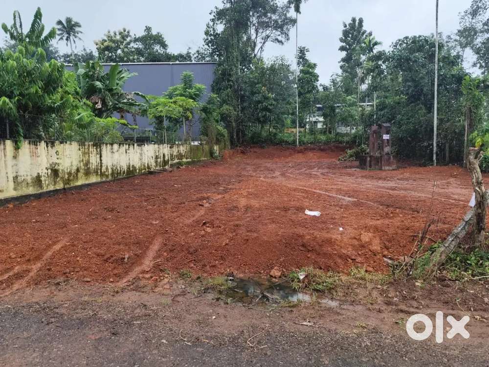 Mankamkuzi, നാലുമുക്ക്