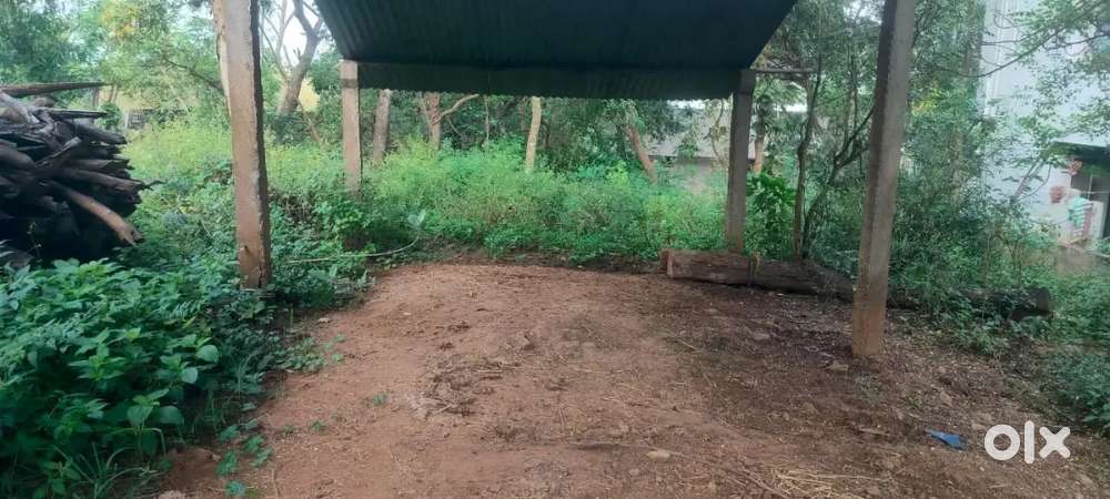 D patta land  15 adugula cc road peace full area