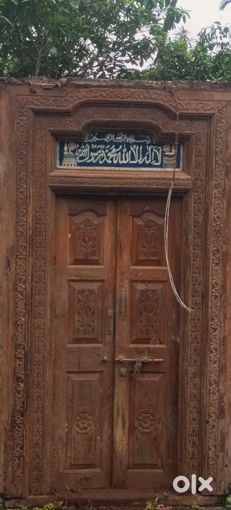 Sagwan door