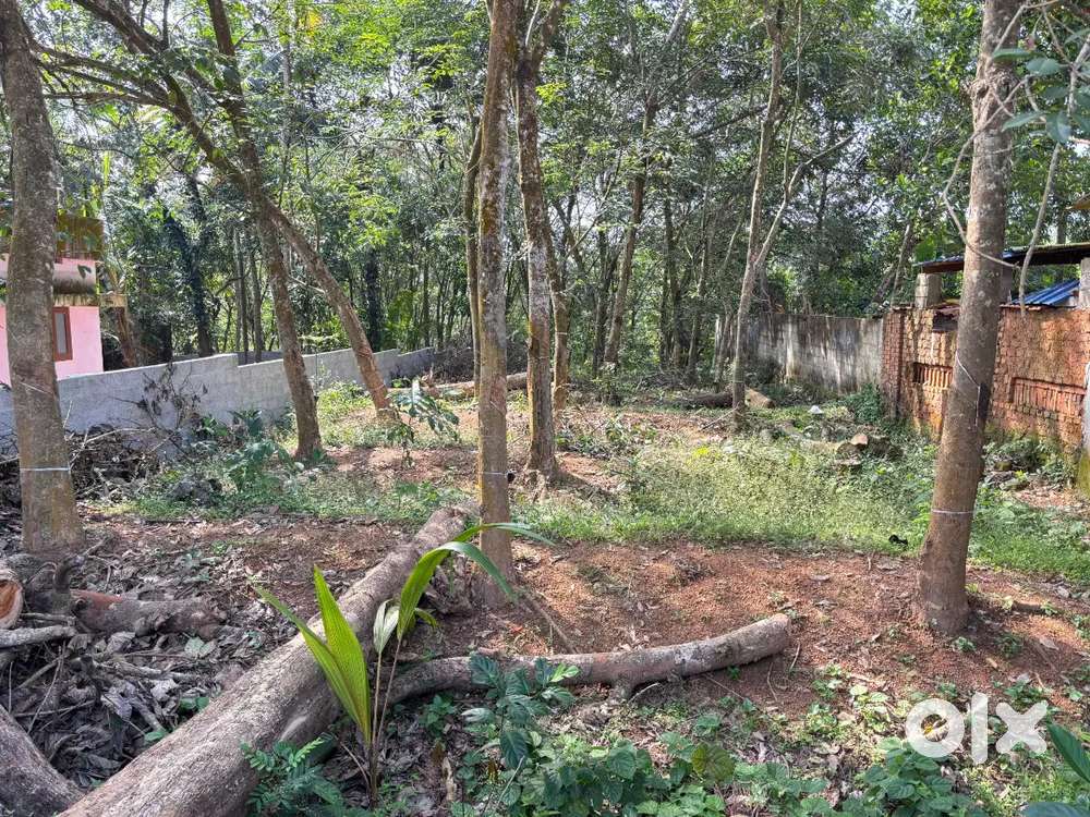 10 cent for sale near trinity engineering college