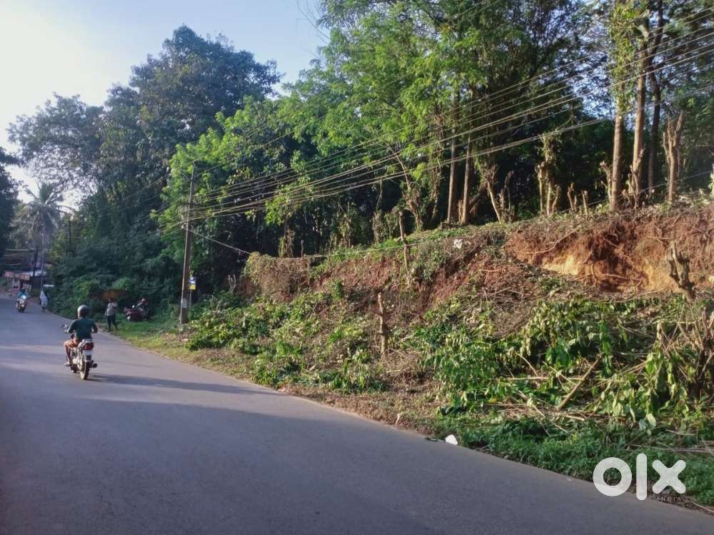 15 Cent plot for Sale at Mankara infront of police station , Palakkad