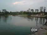 Fisheries sell