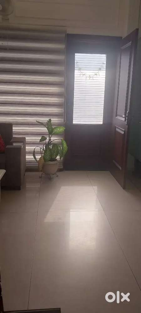 Field executive nd Office peon