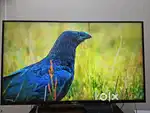 Sony 43 in television