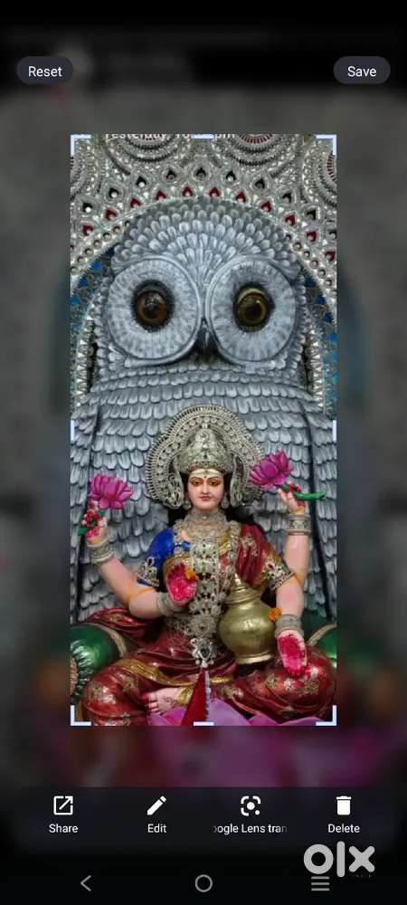 1 bhk flat furnished flat