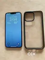 iPhone 13 Pro Max (512GB, Alpine Green)