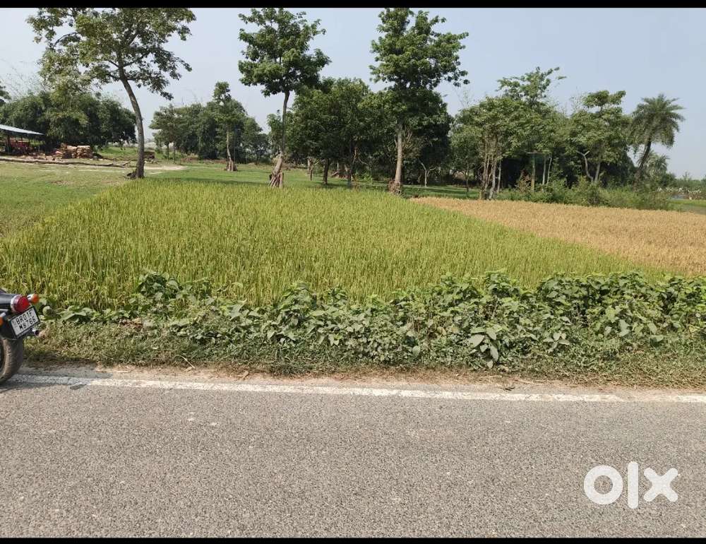 Road side land 2 katha 30 feet road 1 km from NH
