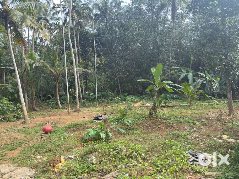 Land near kulashekaram new palam