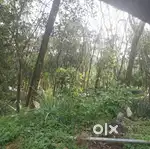 land near to ponkunnam town