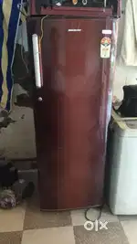 Kelvinator 300ltr. Fridge
