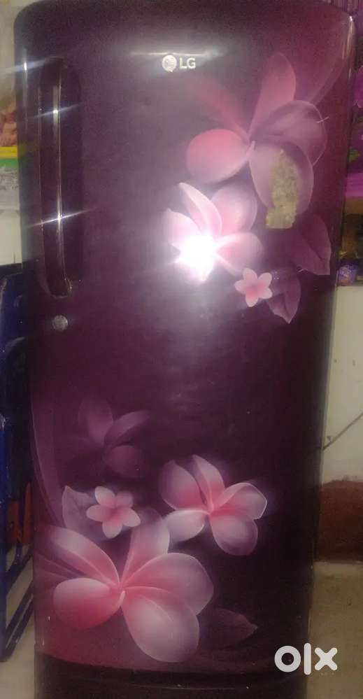 LG refrigerator single door