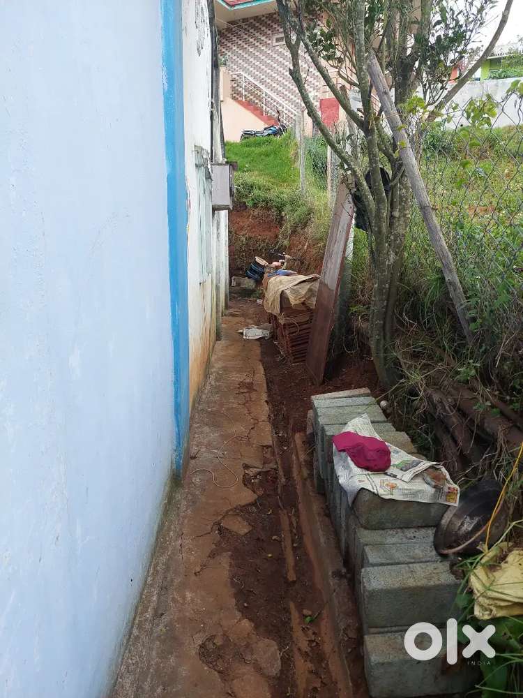 Independent house for rent for Bachelors