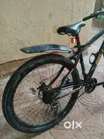 Belleza cycle