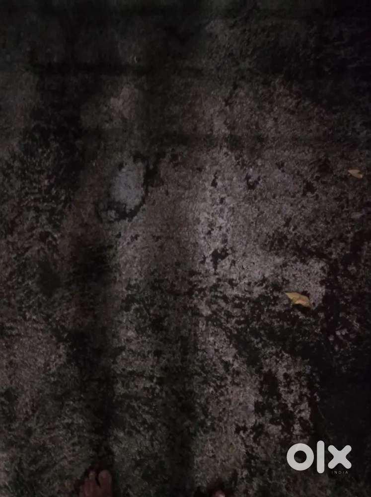 Farangipete, ತುಂಬೆ ಕಡೆ  5 cents ಜಾಗ ಇದ್ರೆ ತಿಳಿಸಿ