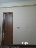 Need roommate