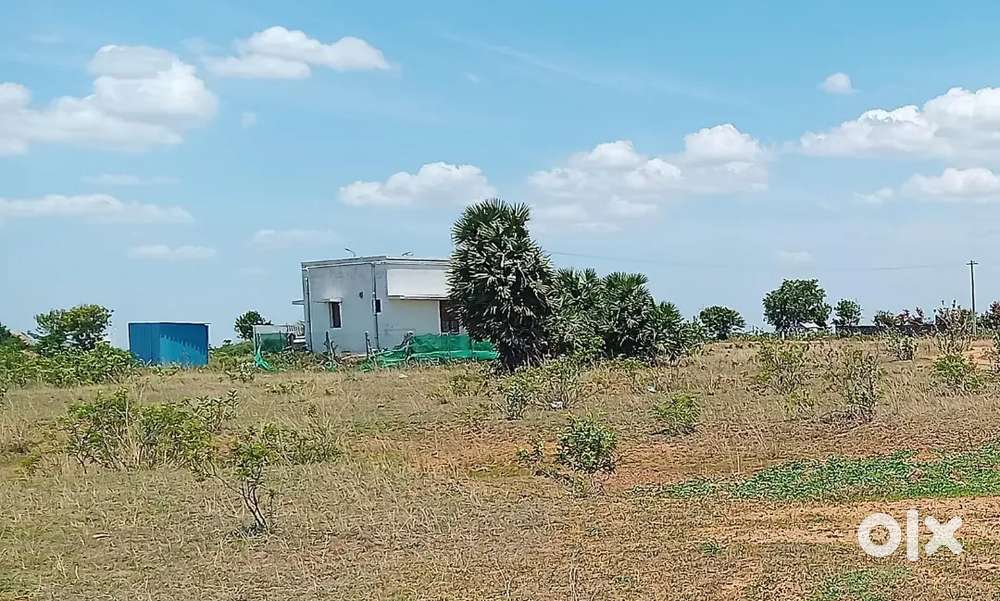 Panjapur bustand near (nagamanglam)