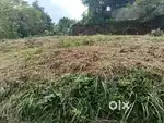 . സെന്റിന് 6 ലക്ഷം രൂപ വില വരുന്ന ഭൂമി നാലു ലക്ഷത്തിന്.