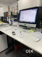 Experienced Female accountant
