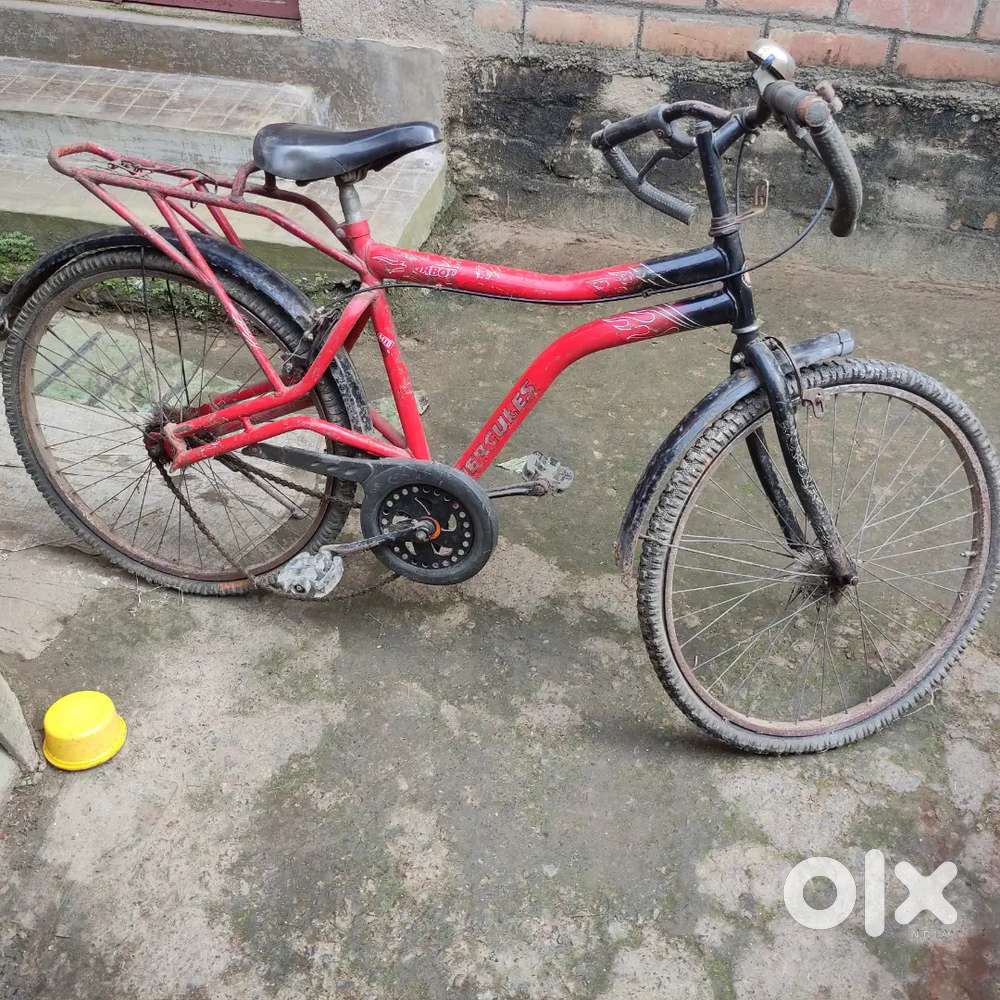 20+ years old cycle