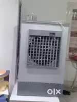 Best cooler 3 months old only