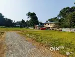 4,5 and 10 more cents. Koonammavu, Neericode House plots.