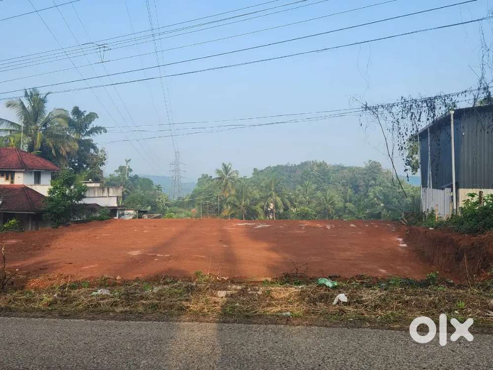 34 cents of land road facing road