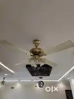 2 Ceiling fan with light